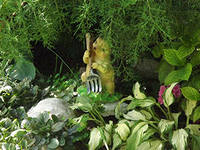 стеклянные теплицы